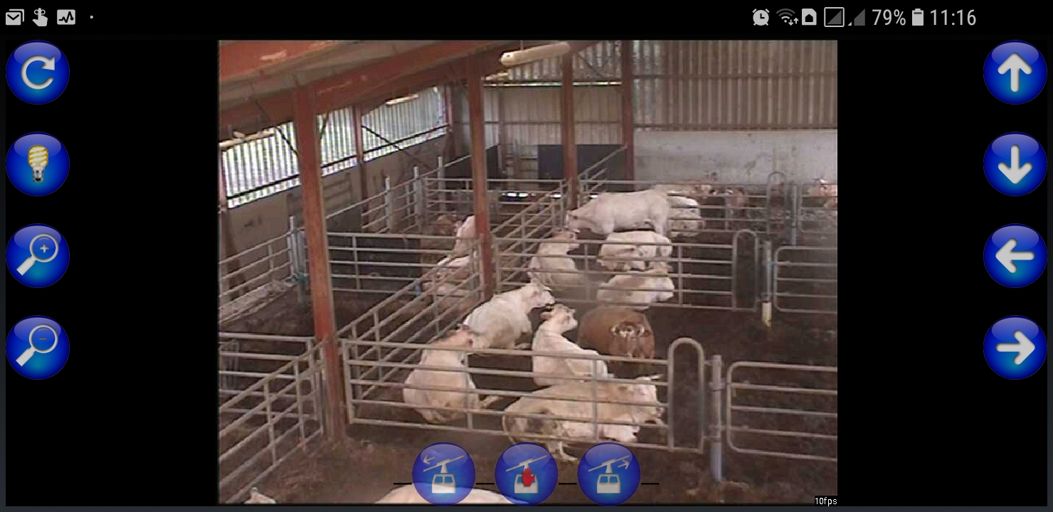 Capture d'écran de l’application de surveillance du troupeau